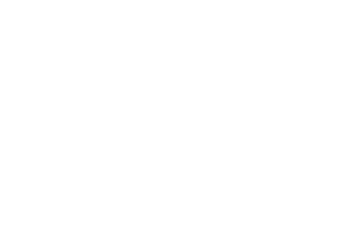 VZ Coaching